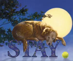 21.5in x18.5in print by Lorena Pugh depicting an older golden retriever dozing peacefully atop the word 'STAY.' The full moon hangs in the background behind some tree branches, almost in bloom. A tennis ball rests by the Y of the word STAY, waiting patiently for the dog to finish her nap.