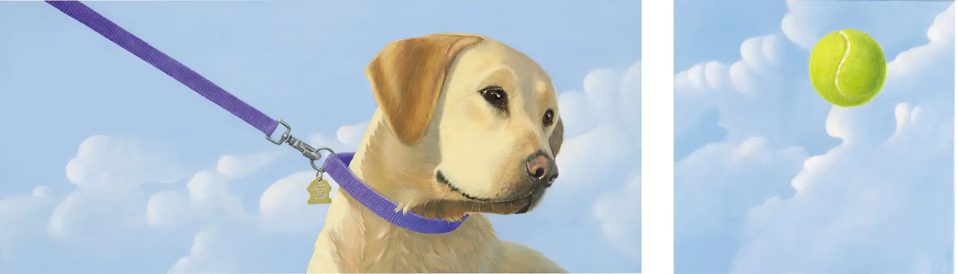 22in by 11in fine art dog print by Lorena Pugh depicting a yellow labrador pulling at their purple leash, their eyes trained a tennis ball (in a separate print) they're desperate to catch.